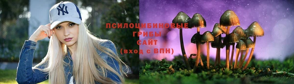 метадон Краснослободск