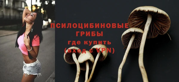 стаф Красноперекопск