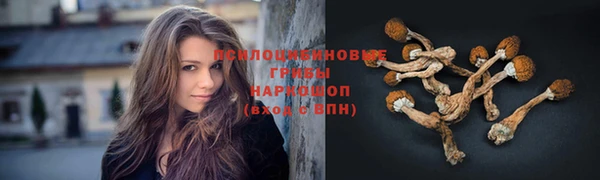 молекула духа Абинск