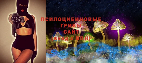стаф Красноперекопск