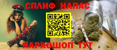гидра Гатчина