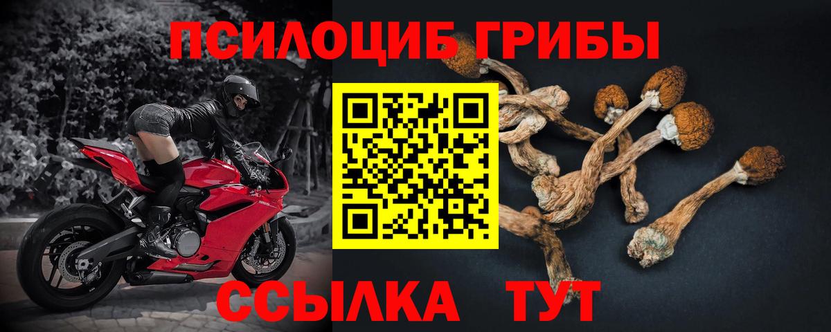 Псилоцибиновые грибы Psilocybine cubensis  Вход с VPN  Иваново 