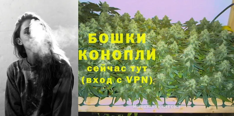 где купить   Иваново  Каннабис индика 